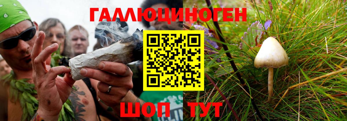 Псилоцибиновые грибы Magic Shrooms  Вход с VPN  где найти   Псилоцибиновые грибы мухоморы  Великий Устюг 