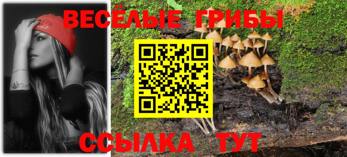 Псилоцибиновые грибы Cubensis Великий Устюг