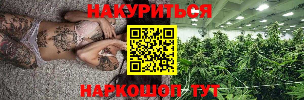 МАРИХУАНА сатива Великий Устюг